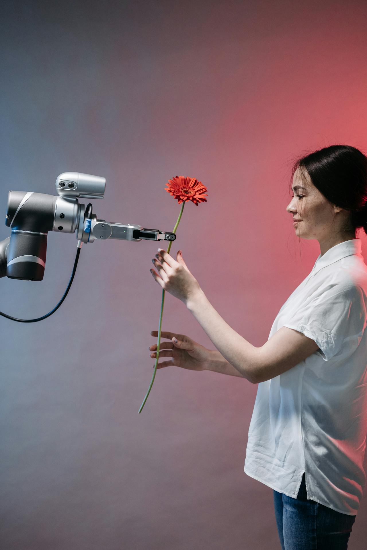 AI Models in Edge Computing: Performance and Optimization